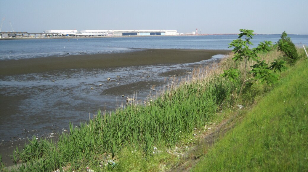 多摩川河口と羽田空港