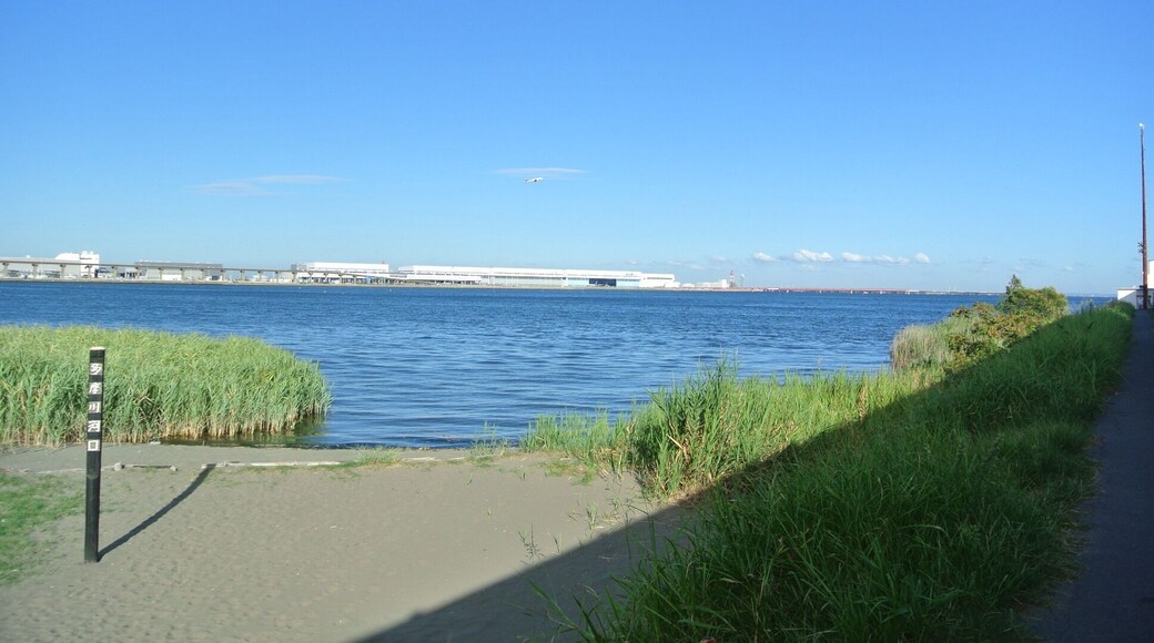 多摩川河口・羽田空港