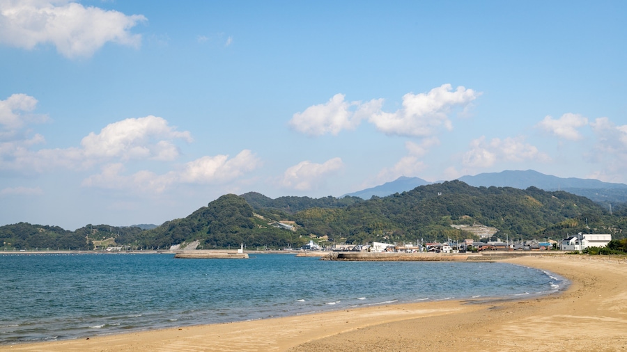 Horie showing general coastal views and a sandy beach