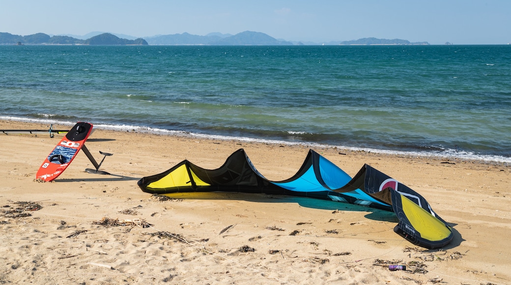 Horie showing general coastal views and a sandy beach