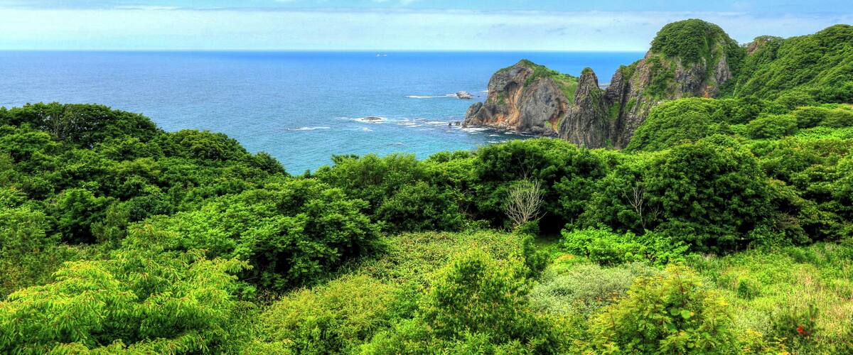 A coastal landscape with lush greenery, rocky cliffs, and the ocean.