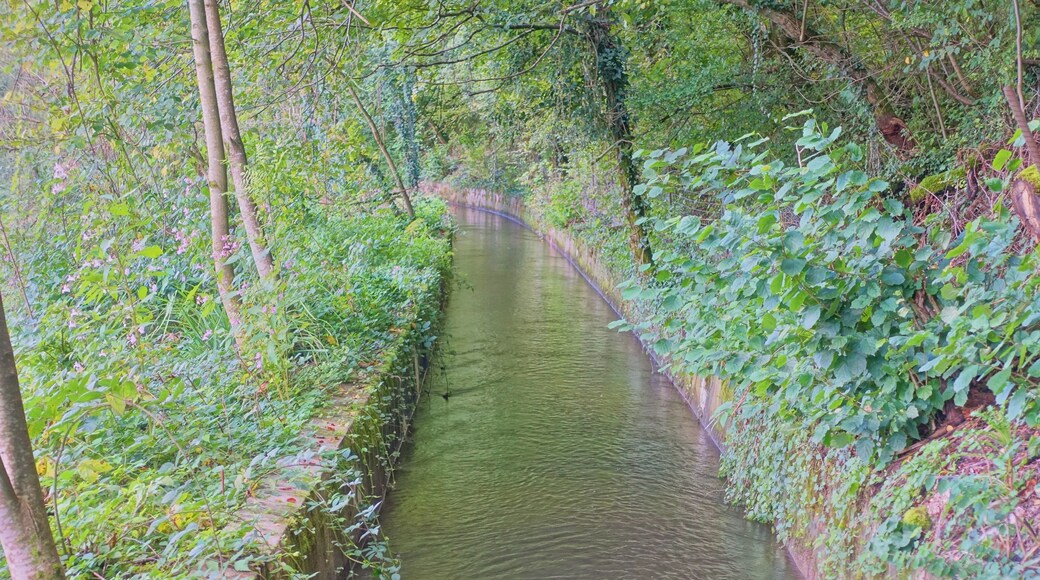 Industriekanal in Wehr (Baden)