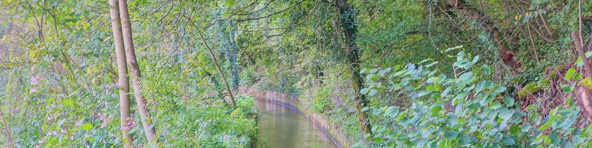 Industriekanal in Wehr (Baden)