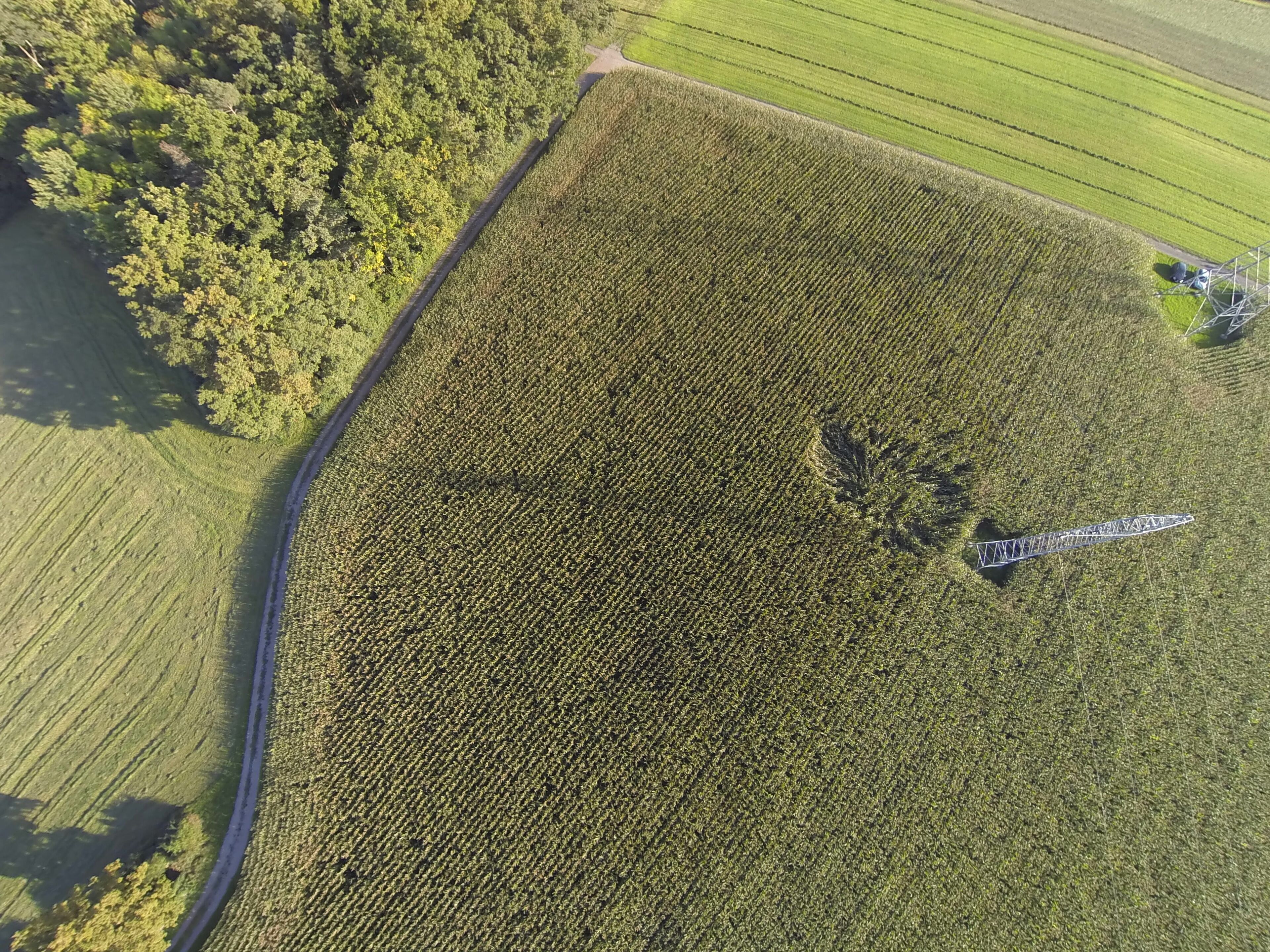 An aerial view of a large agricultural field with a road curving along its edge.