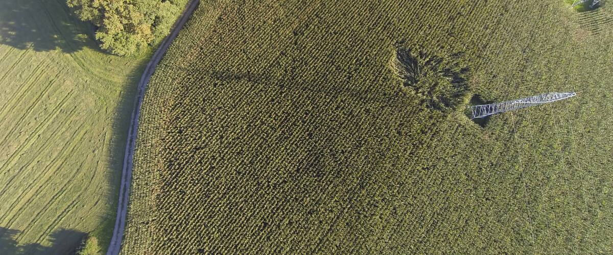 An aerial view of a large agricultural field with a road curving along its edge.