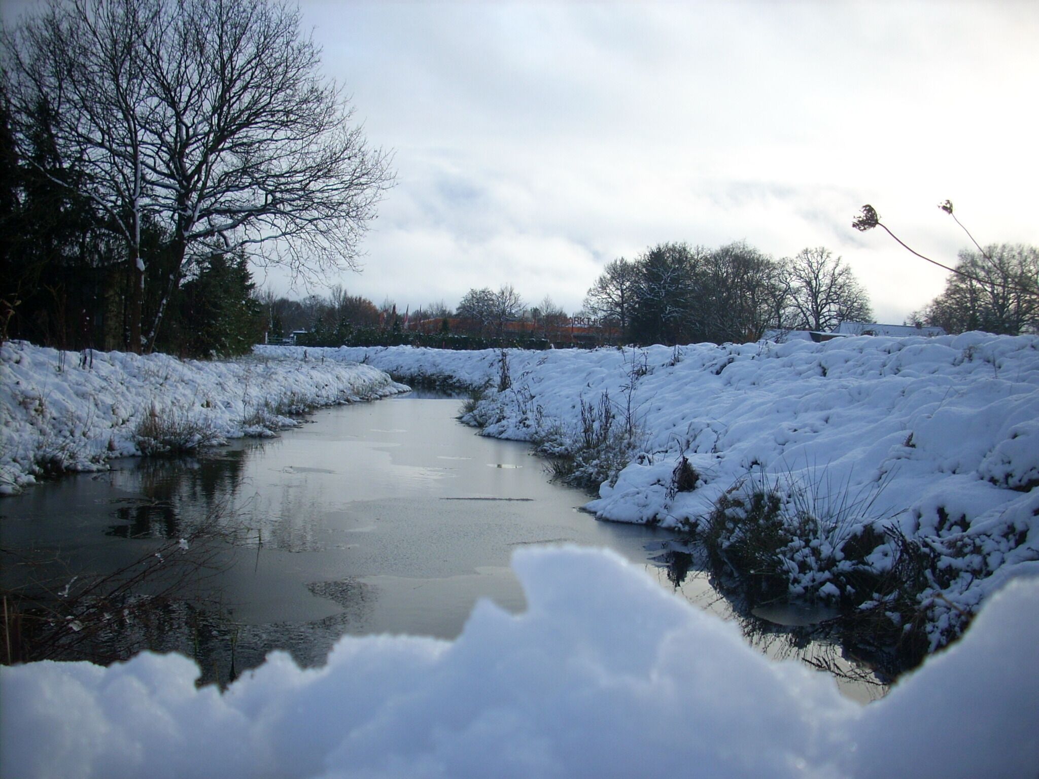 A snow-covered river with bare trees and a cloudy sky.