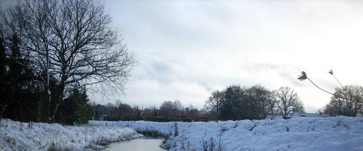 A snow-covered river with bare trees and a cloudy sky.