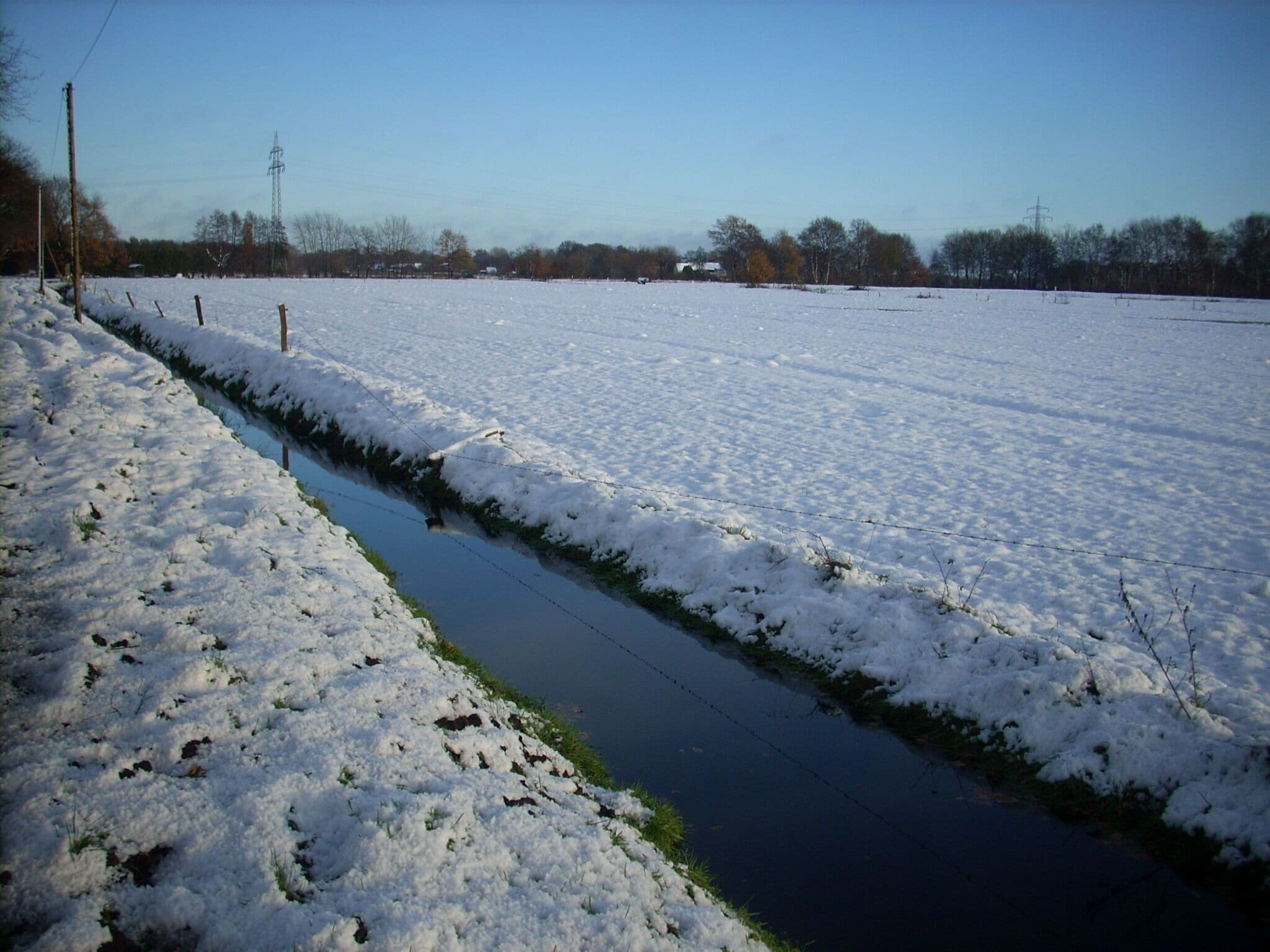 Winter im Everstener Moor