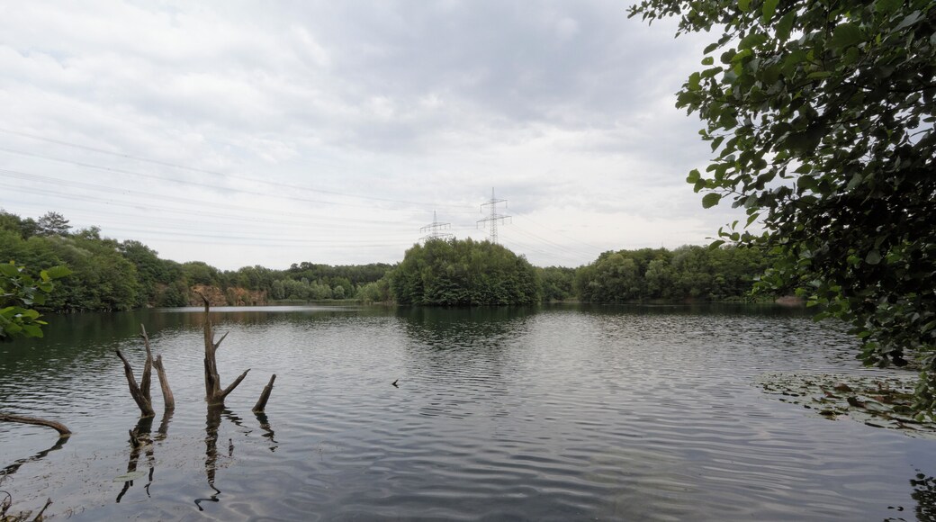 Vogelsberger See bei Mühlheim (Hessen), Ortsteil Dietesheim.