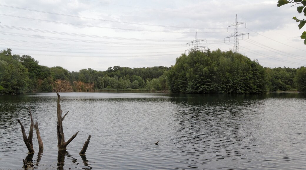 Vogelsberger See bei Mühlheim (Hessen), Ortsteil Dietesheim.