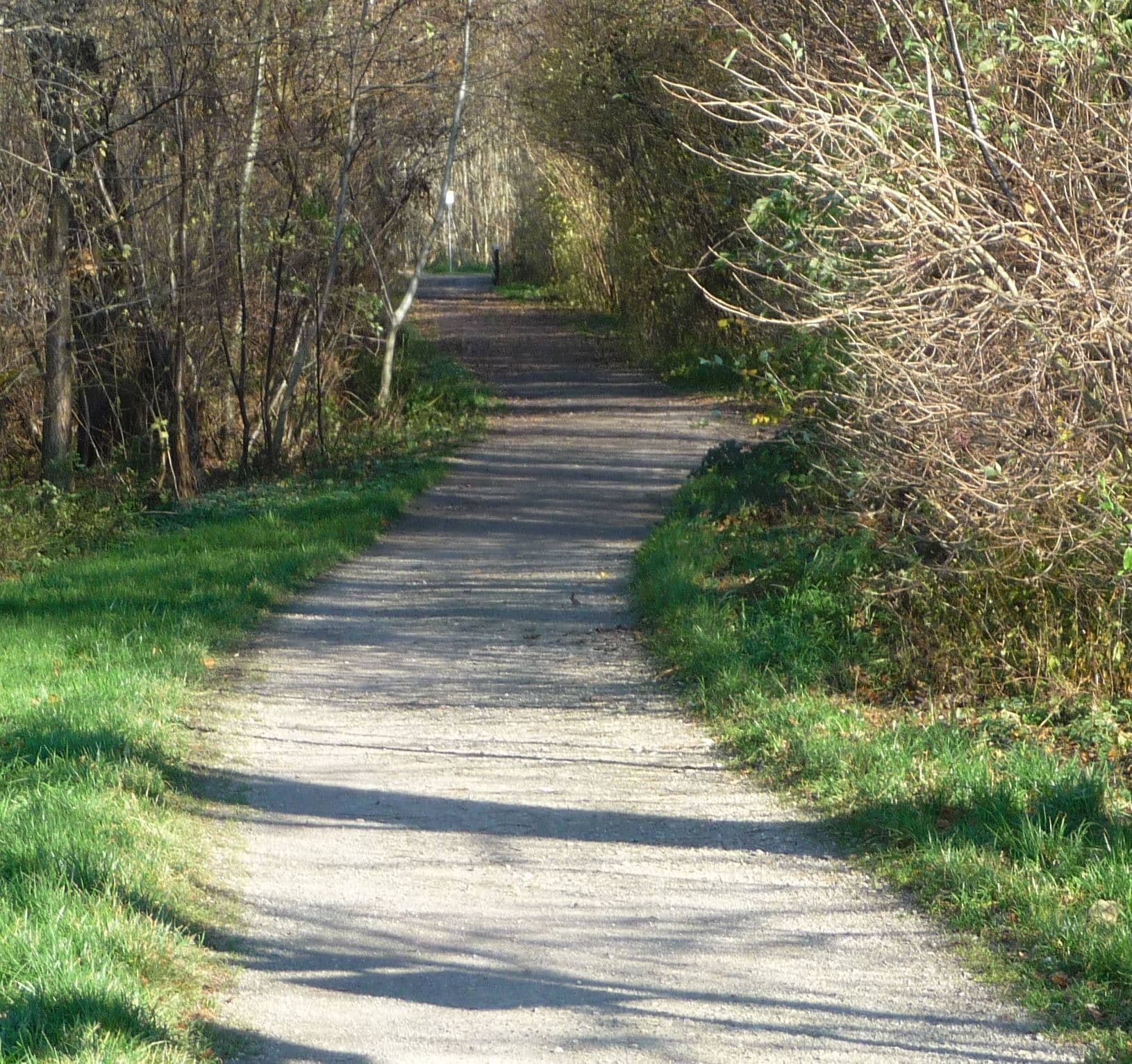 Maudach, Ludwigshafen am Rhein, Germany