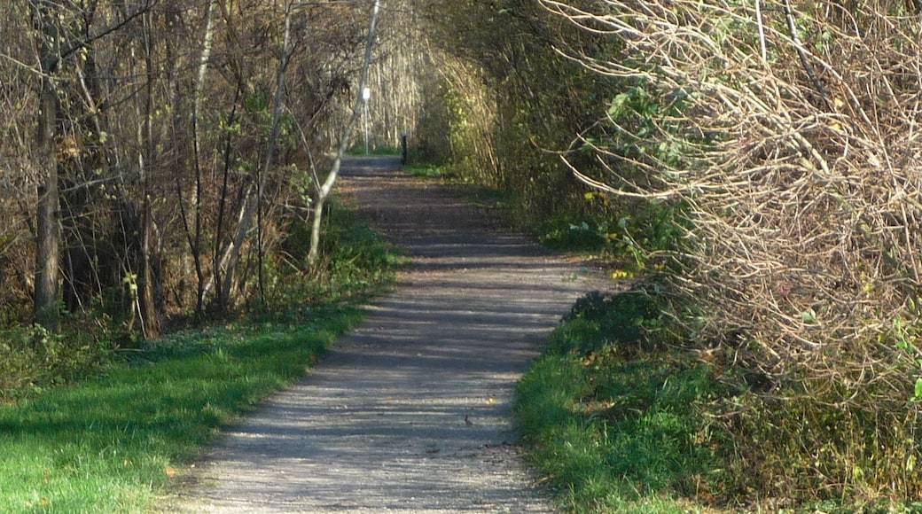 Maudach, Ludwigshafen am Rhein, Germany
