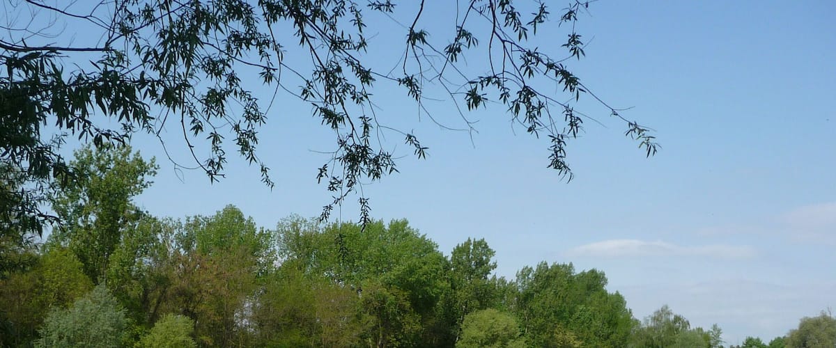 JĂ€gerweiher