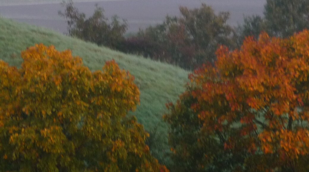 Ludwigshafen, Germany