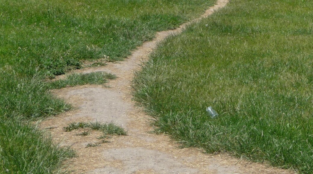 „La rue courbe est le chemin des ânes, la rue droite le chemin des Hommes.“