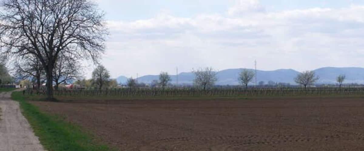 A rural landscape with fields, trees, a water tower, and distant mountains.