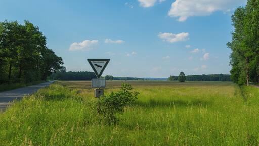 This is a picture of the protected area listed at WDPA under the ID