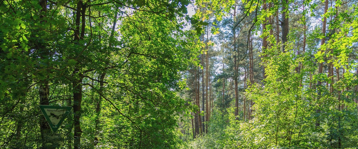 This is a picture of the protected area listed at WDPA under the ID