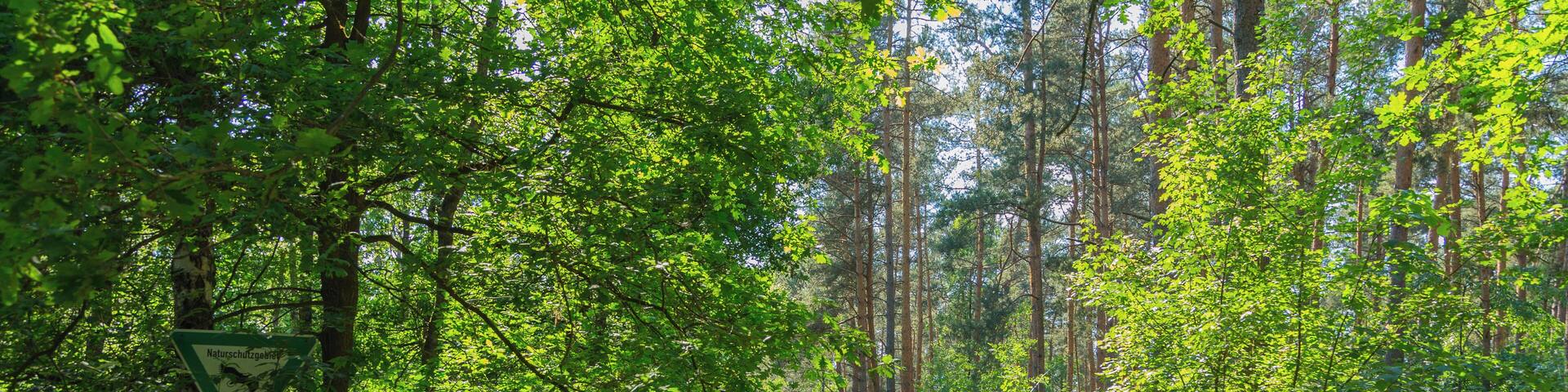 This is a picture of the protected area listed at WDPA under the ID