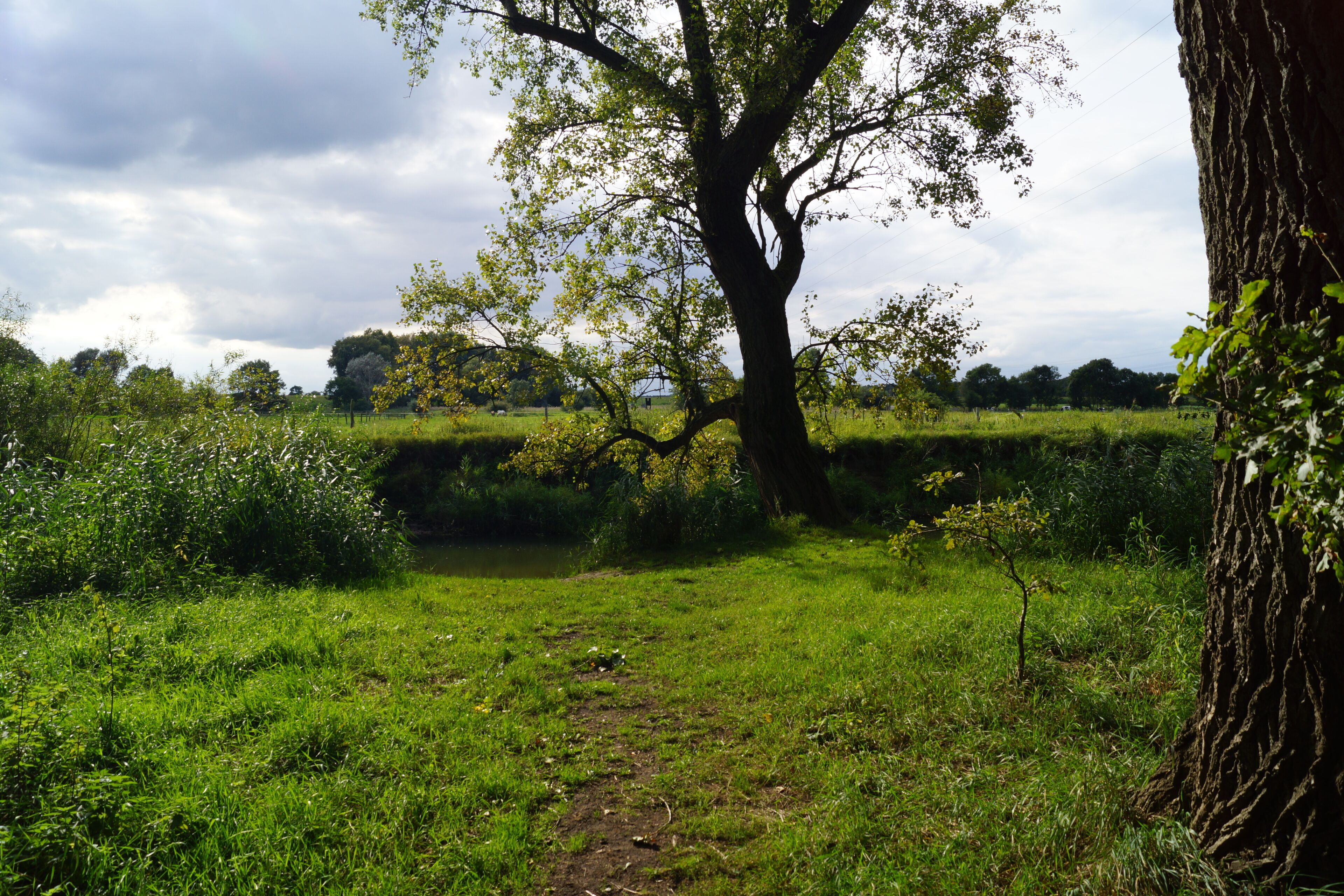 Oker Groß Schwülper
