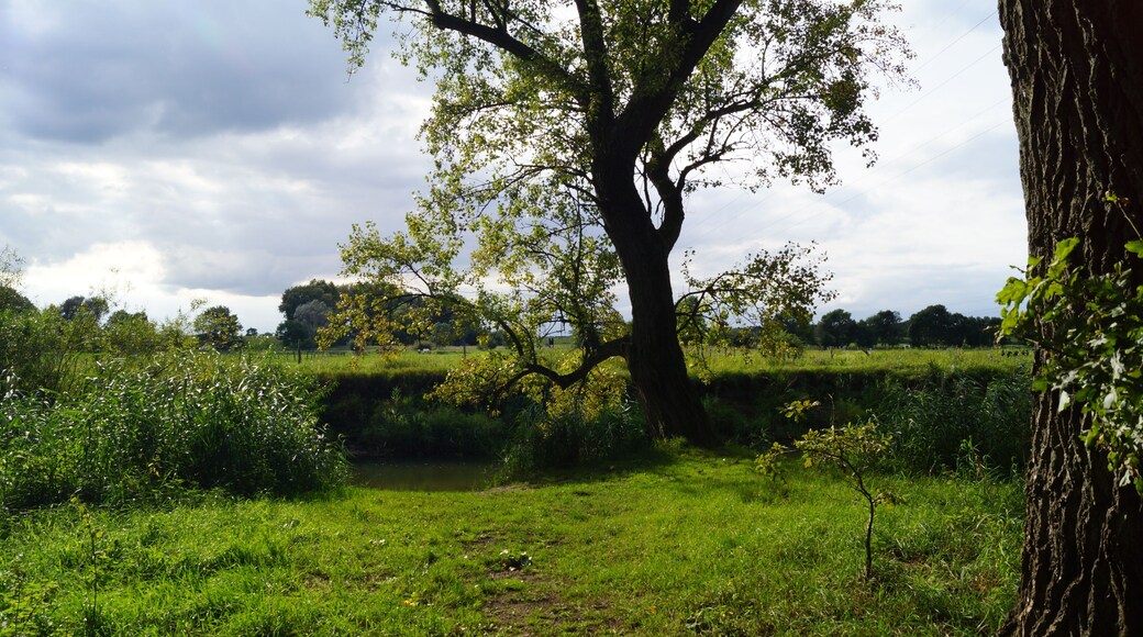 Oker Groß Schwülper