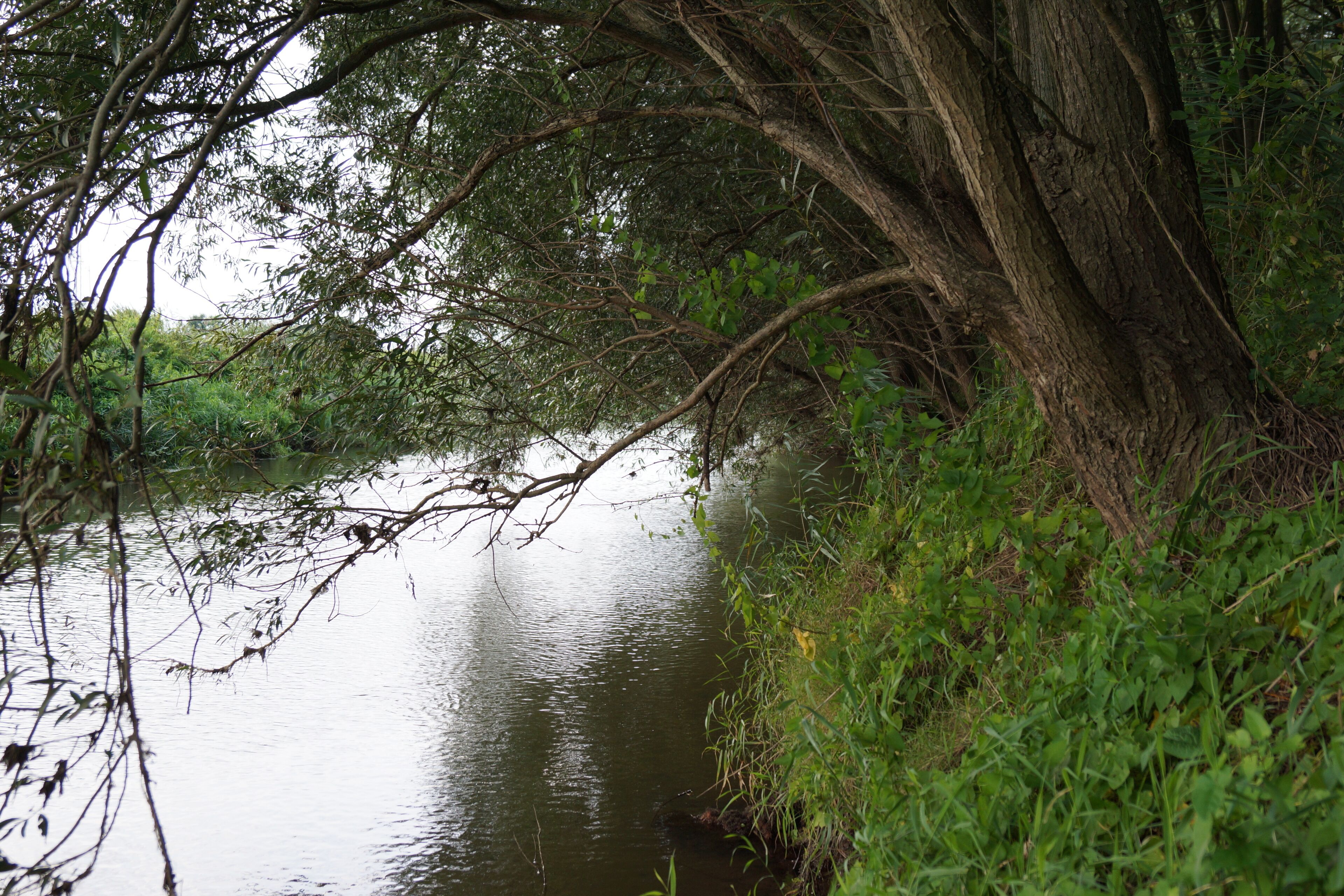 Oker Groß Schwülper