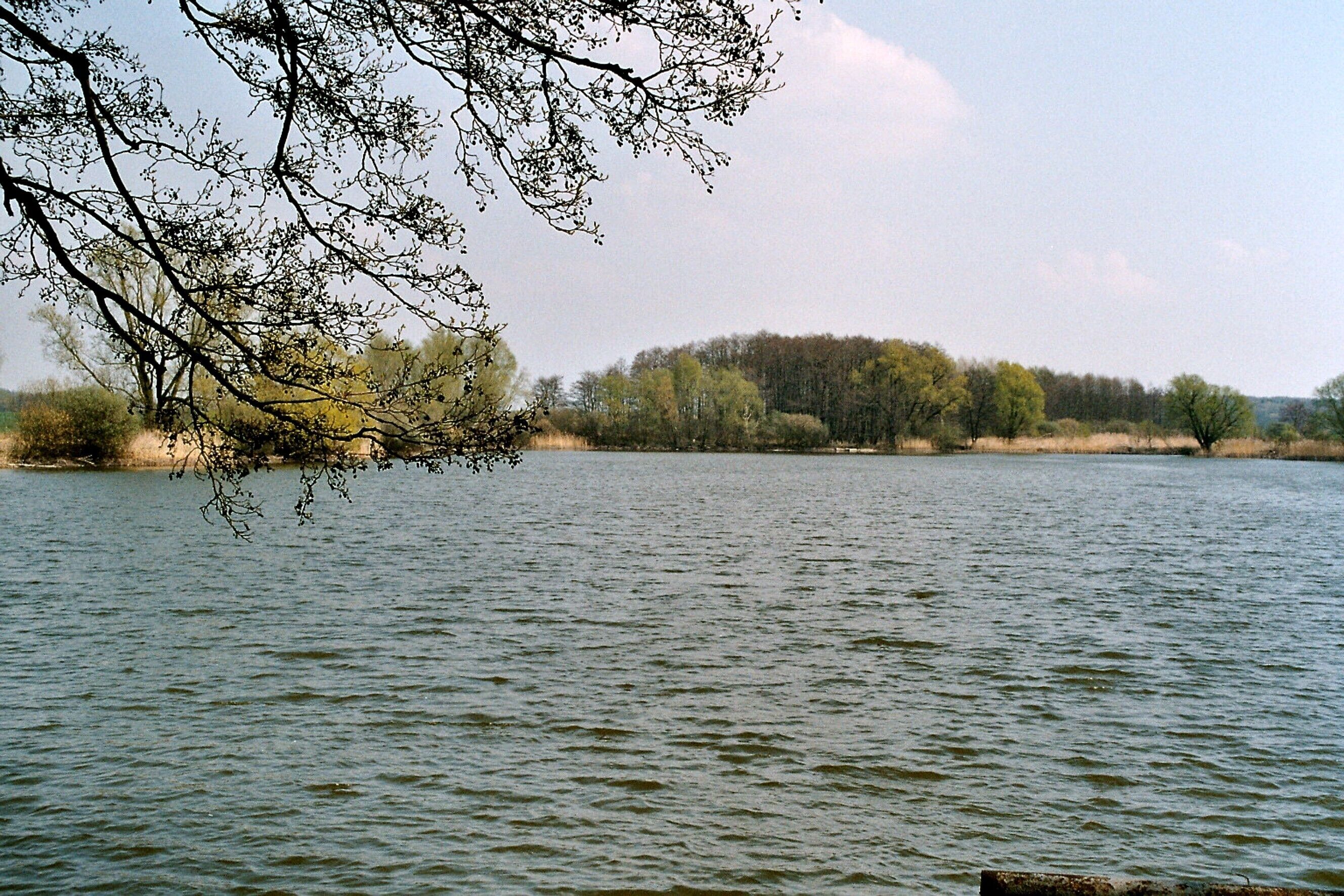 Burkhartshain (Wurzen), the pond "Großteich"