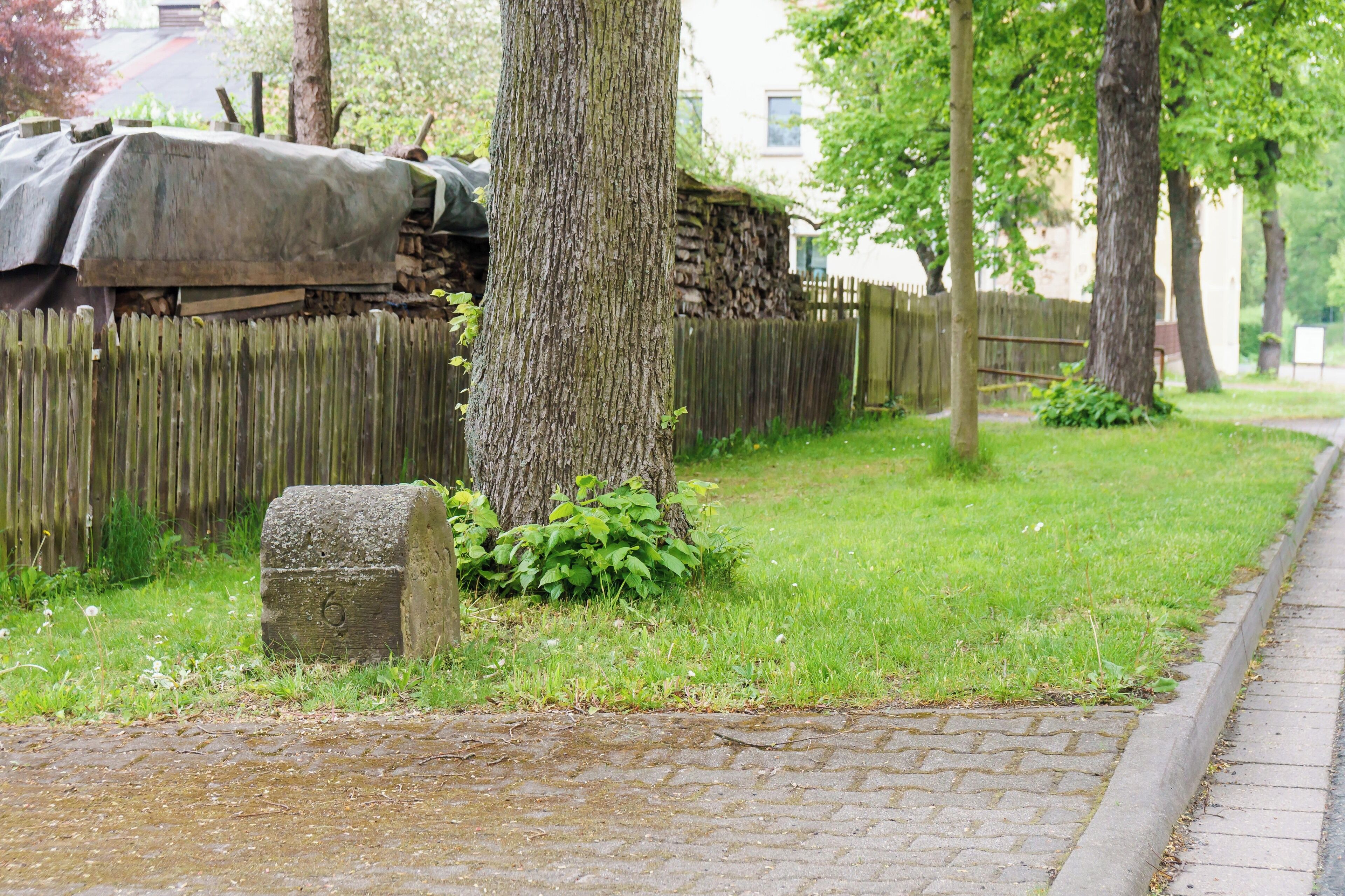 A cobblestone path, a wooden fence, and a tree with a stone marker.