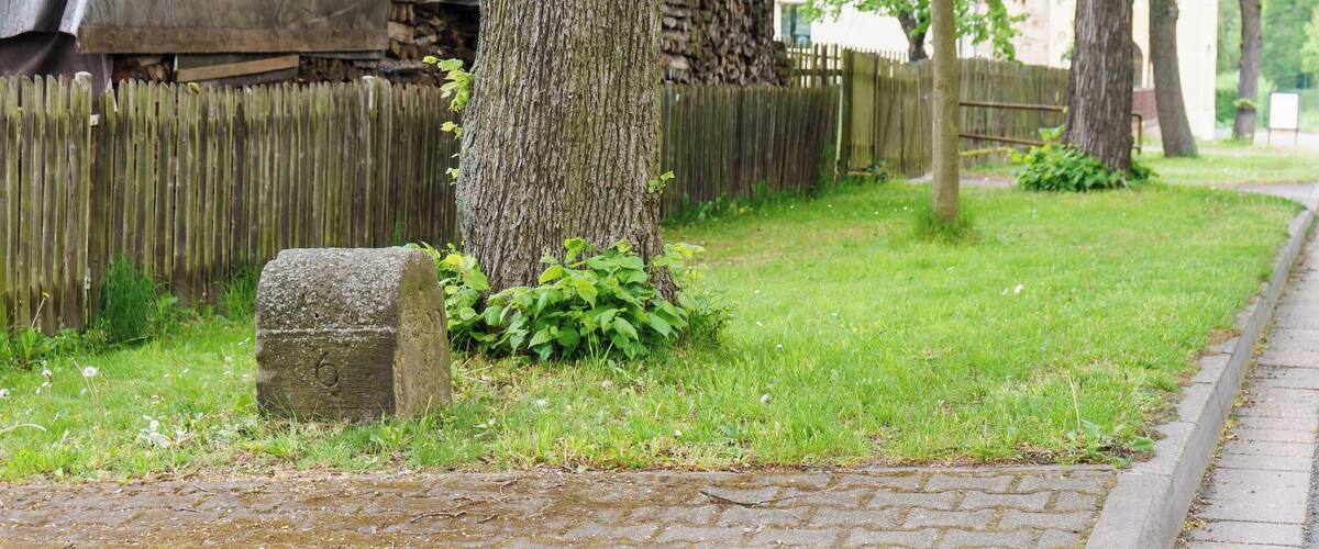 A cobblestone path, a wooden fence, and a tree with a stone marker.