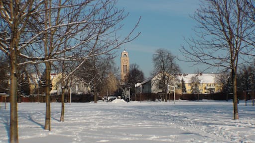 Am Grünen Feld 06130 Halle (Saale), Blick zur Lutherkirche