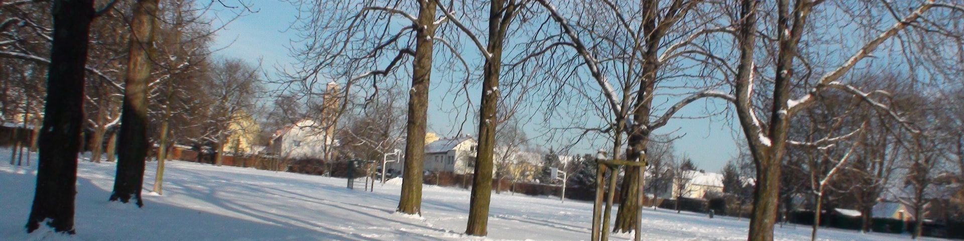 Am Grünen Feld, 06130 Halle (Saale)