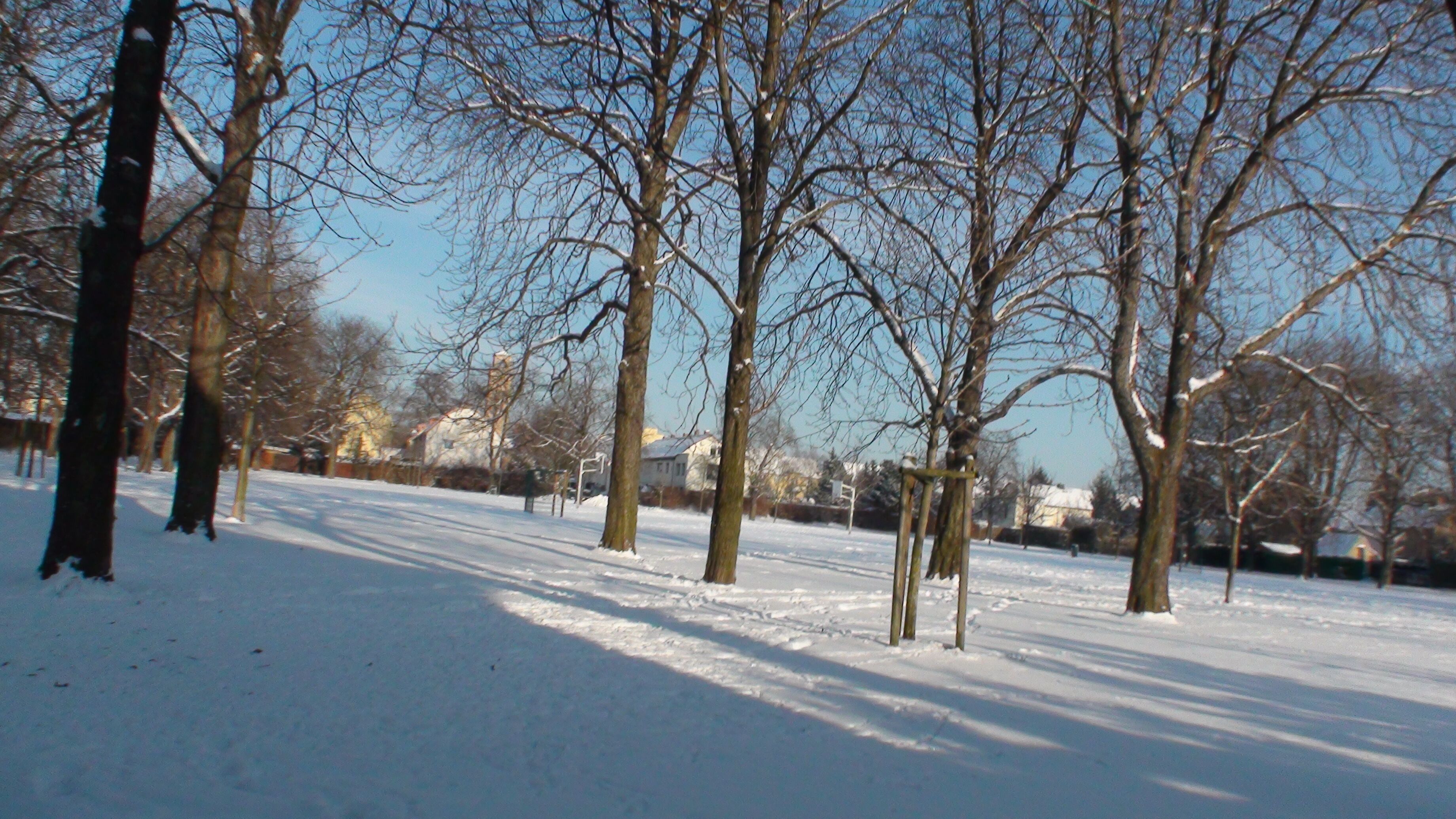 A snow-covered park with leafless trees and a clear blue sky.
