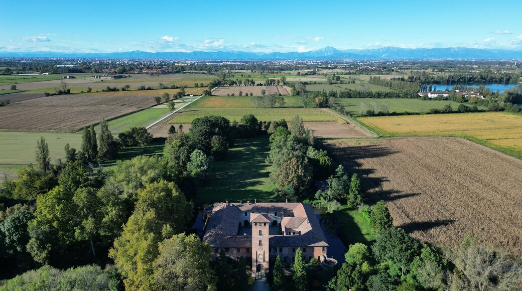 利纳泰阿尔拉姆布罗