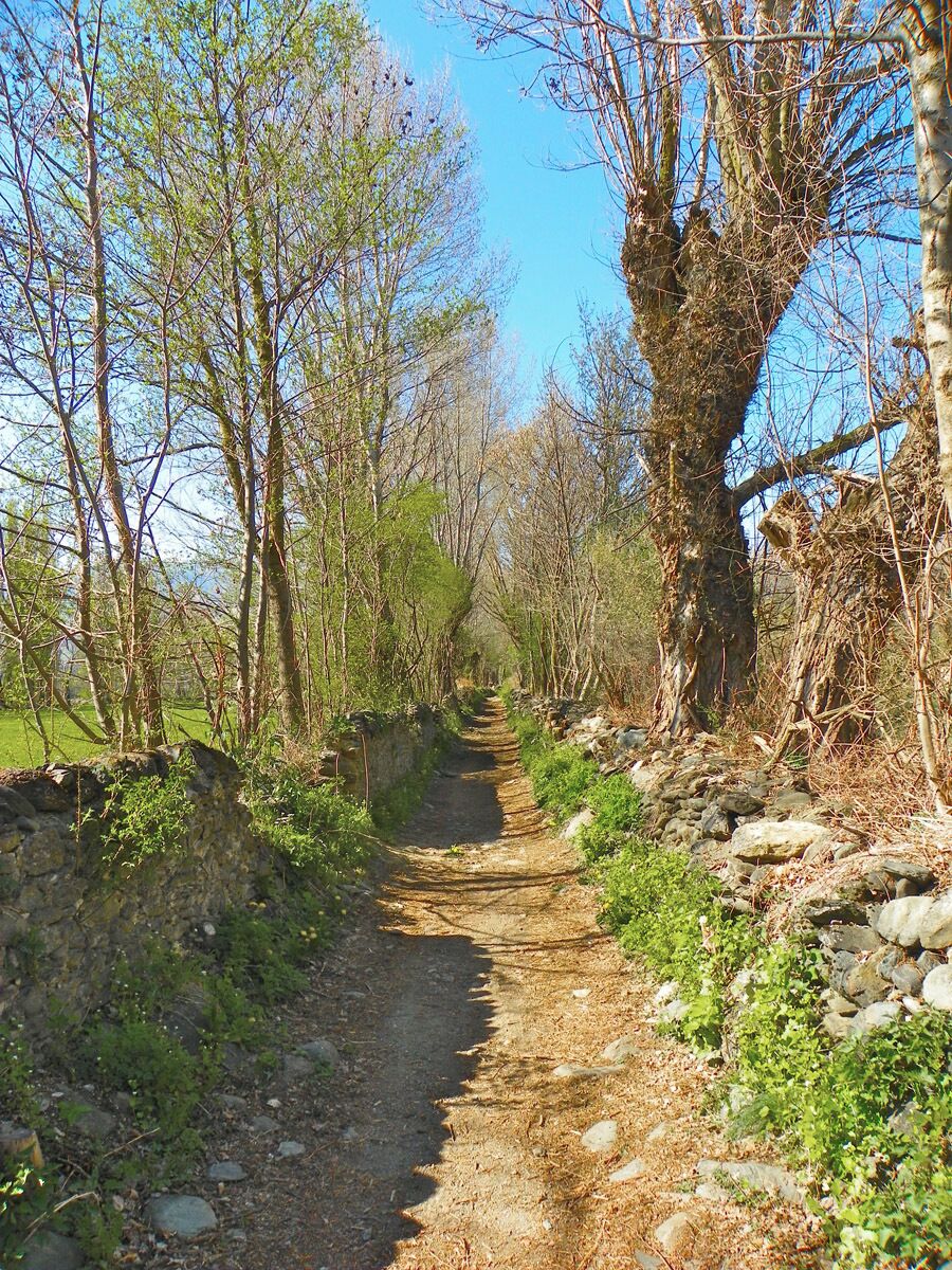 Camí entre Estoll i Soriguerola