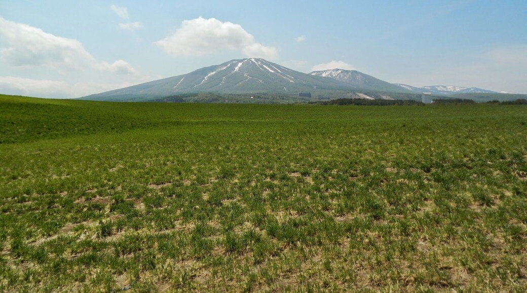 Appikogen, Hachimantai, Iwate Prefecture 028-7306, Japan