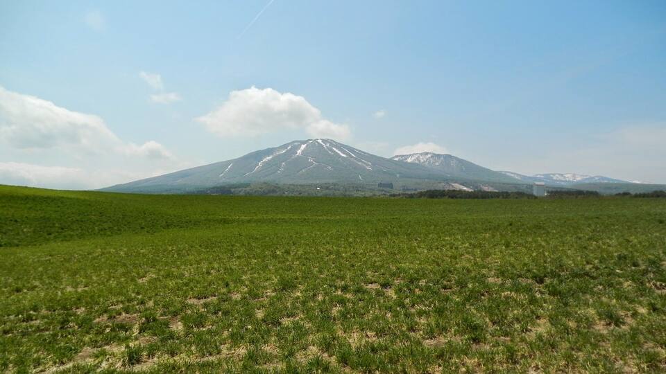 A grassy field with a mountain in the background.