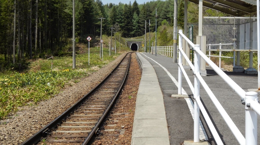 Appikogen, Hachimantai, Iwate Prefecture 028-7306, Japan