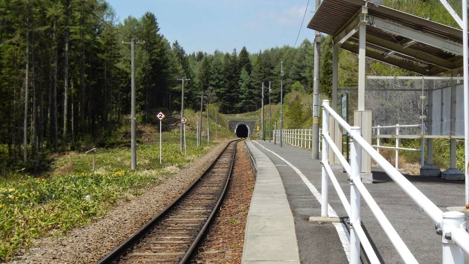 A railway track with a tunnel entrance, surrounded by trees and a pedestrian walkway.