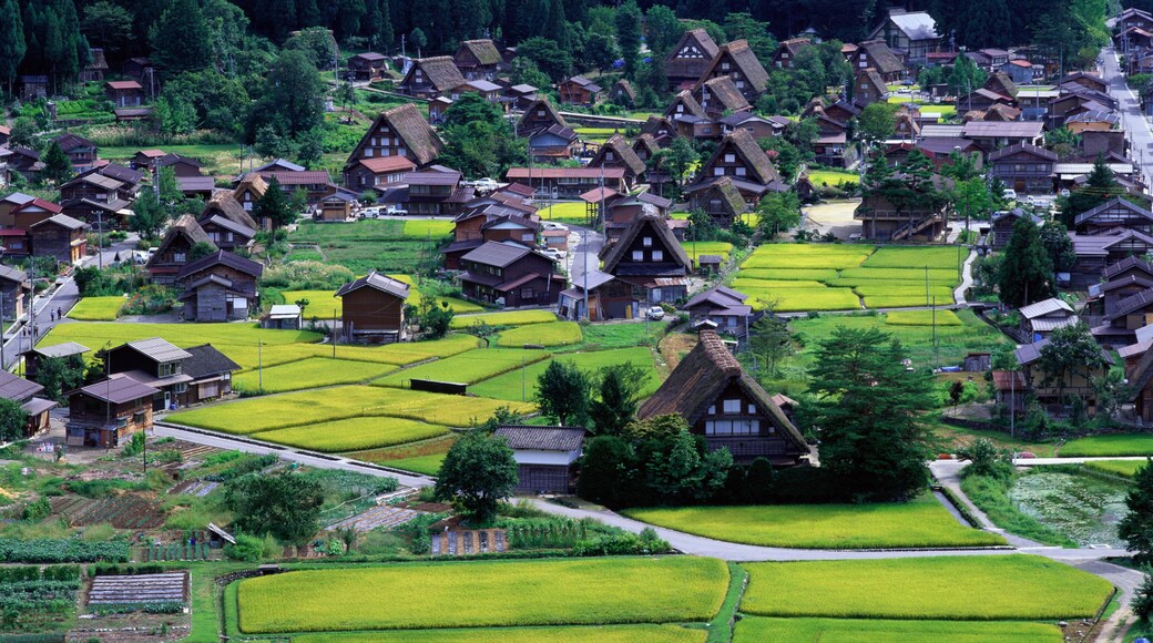 Shirakawa-gos historiska by