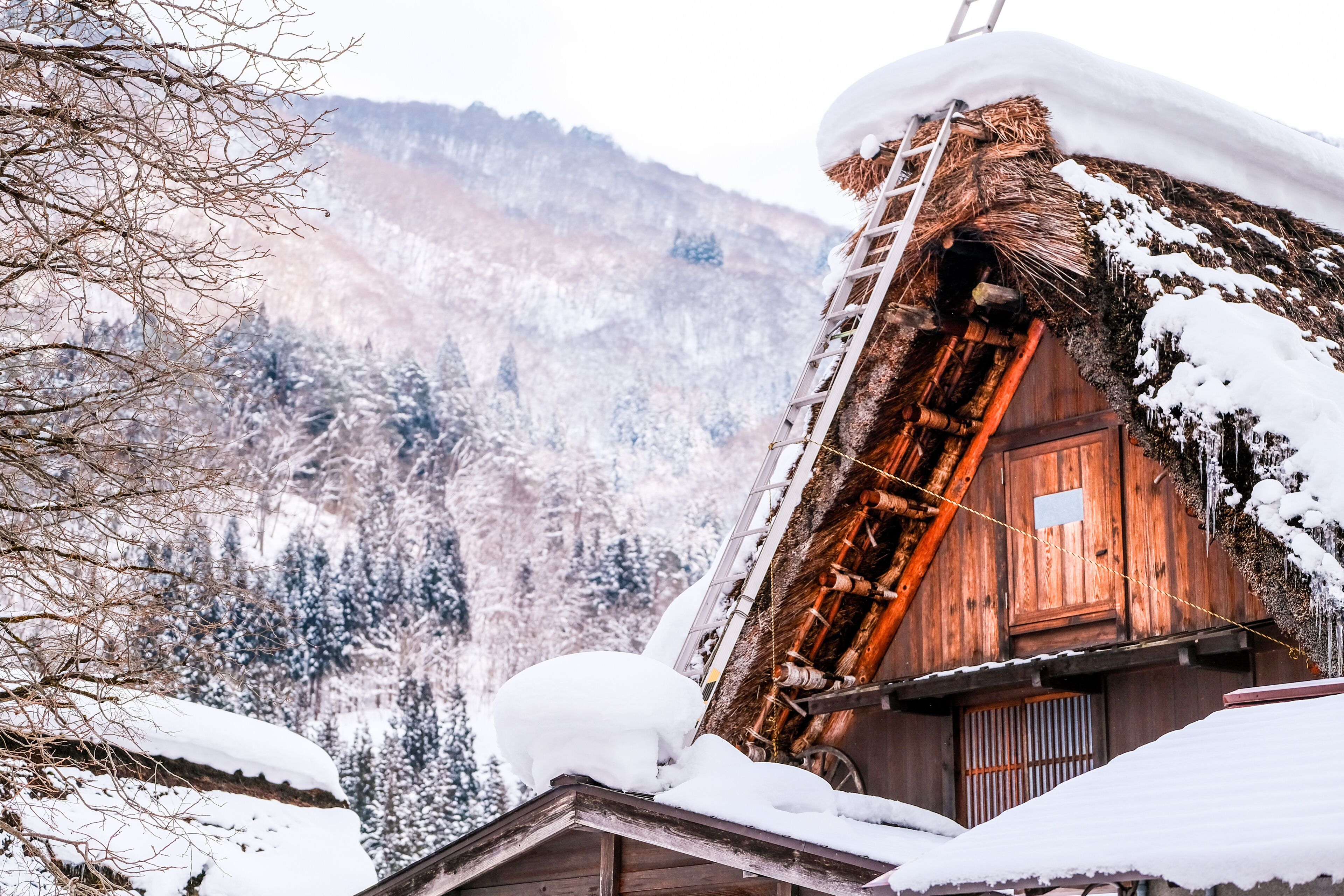 A wooden cabin with a steep roof, surrounded by snow-covered trees and mountains.