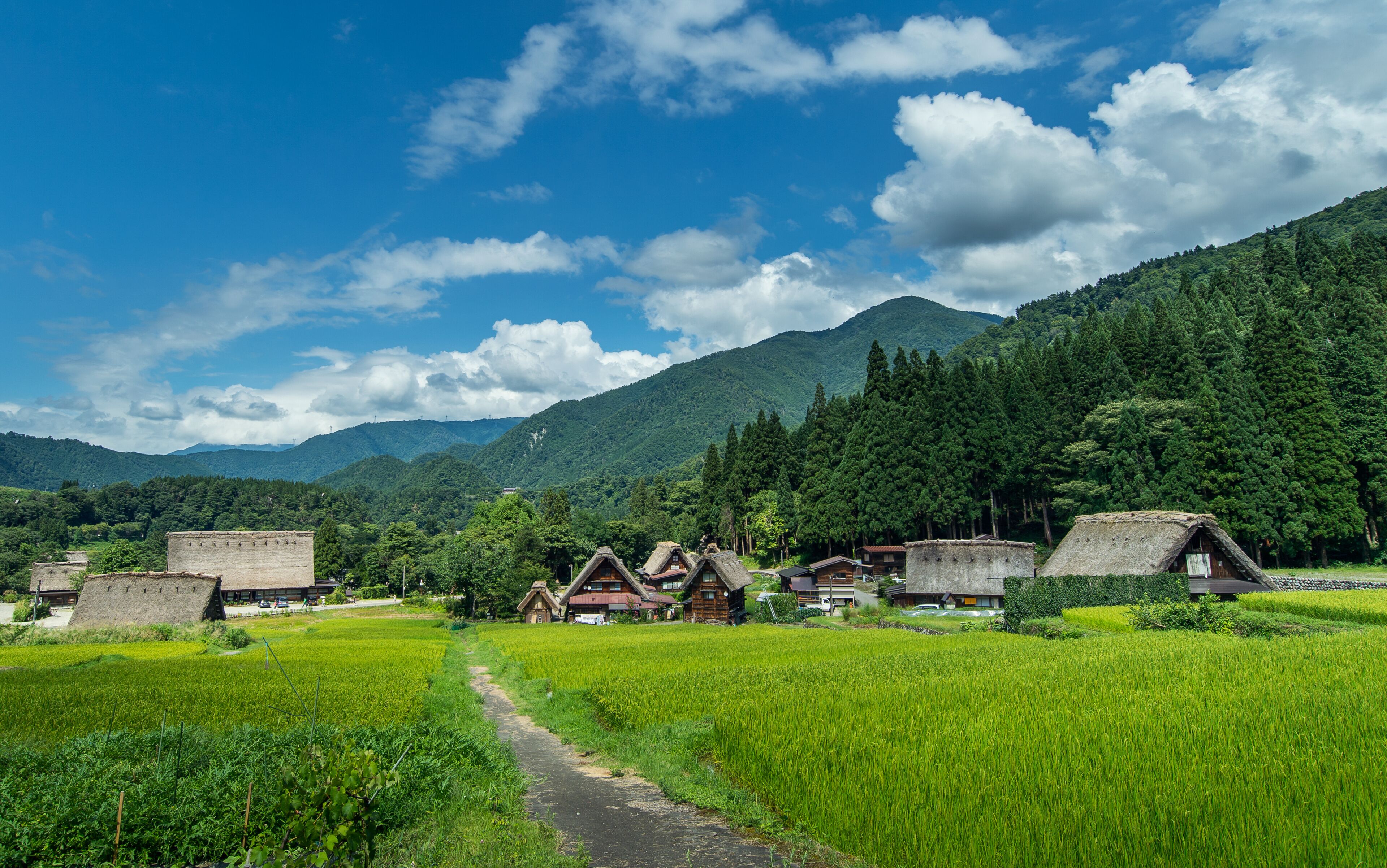 Historical Japanese Village - Shirakawago