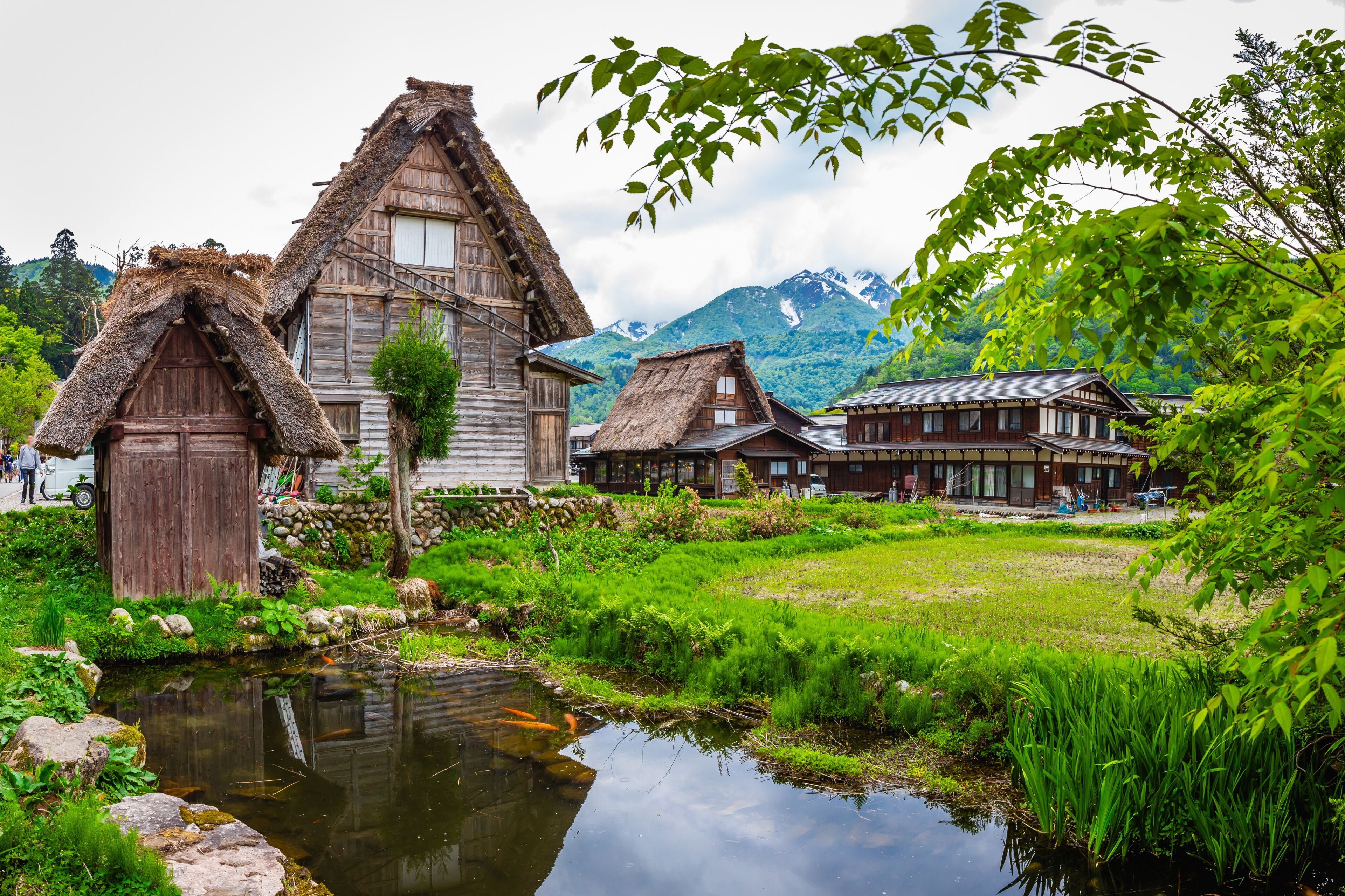 Traditional wooden houses with thatched roofs, a pond with koi fish, and a mountainous backdrop.