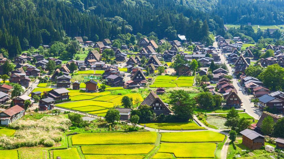 A village with traditional houses surrounded by terraced rice fields and dense forest.