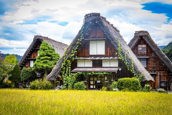 traditional japanese houses in shirakawago, gifu prefecture, japan, thatched roofs, triangle, wooden, rice paddies, rice