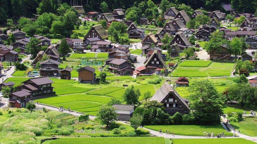 Shirakawago in Hida Japan, Gassho-Zukuri Village 白川郷 飛騨の夏