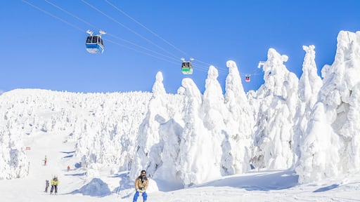 Snow Monsters Mountain, Zao, Japan; Shutterstock ID 474357550