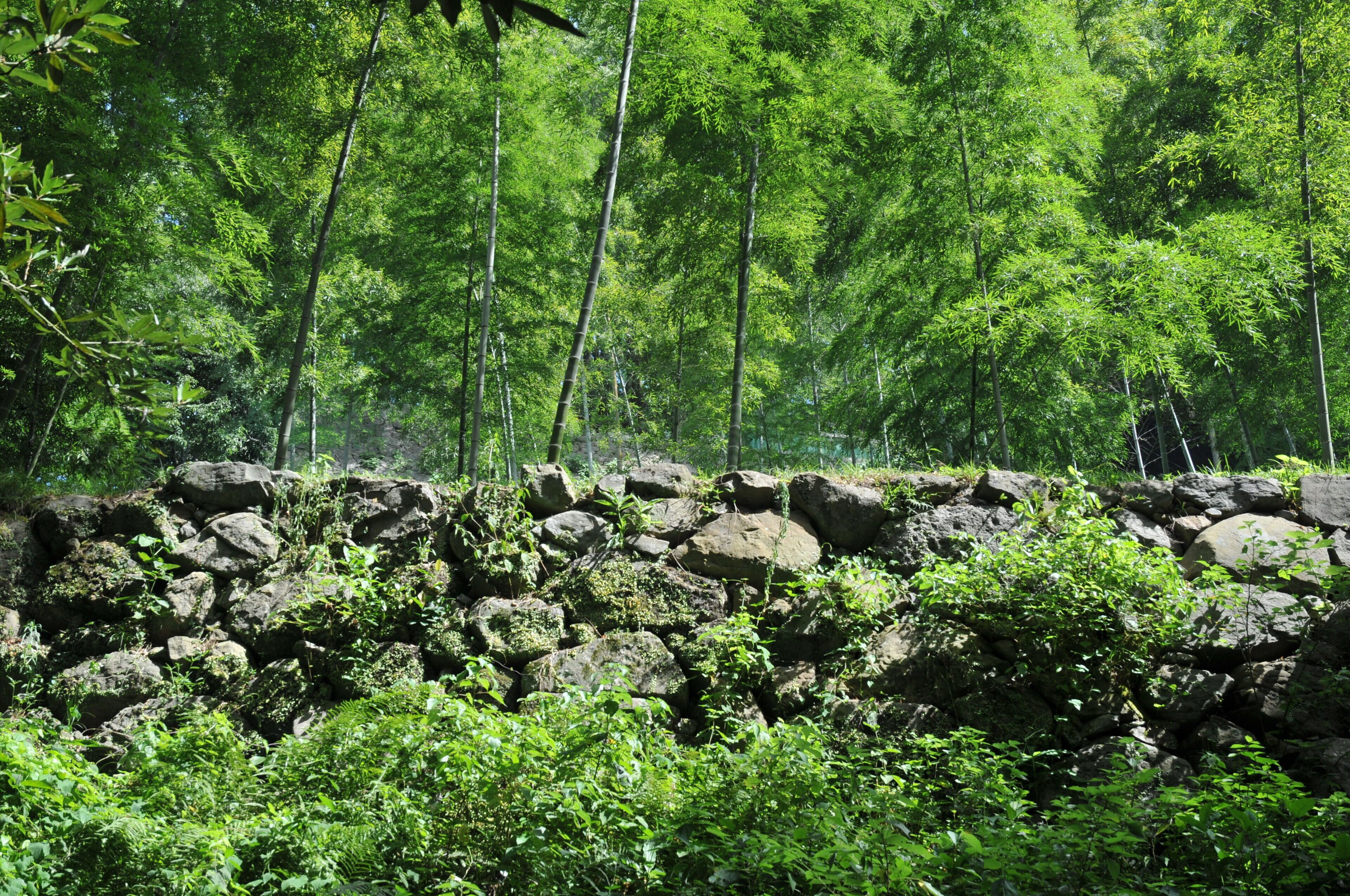 Stone wall of Sikibu-maru, Uwajima castle
