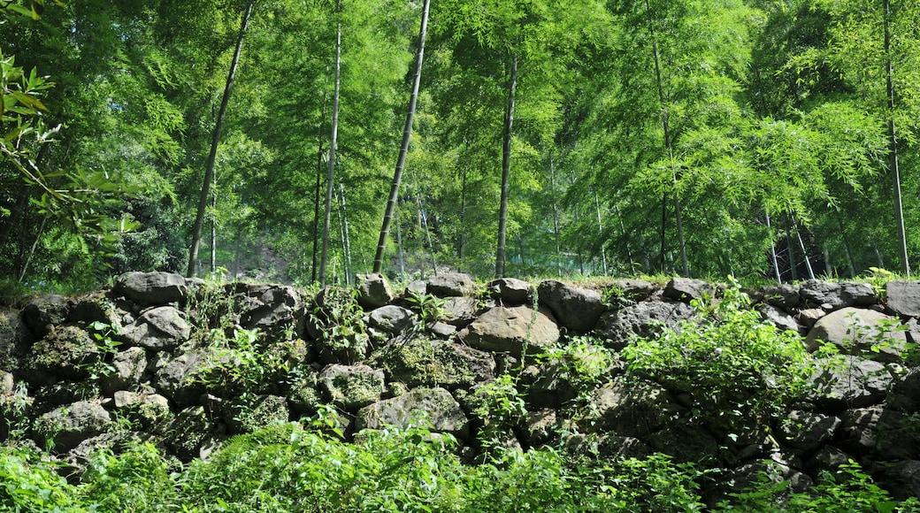 Stone wall of Sikibu-maru, Uwajima castle
