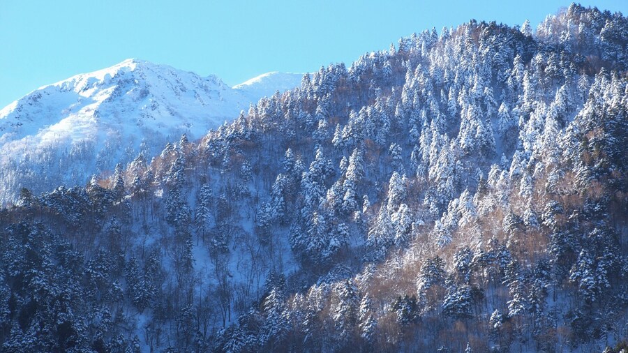 Okuhida Onsengo Hirayu, Takayama, Gifu Prefecture 506-1433, Japan