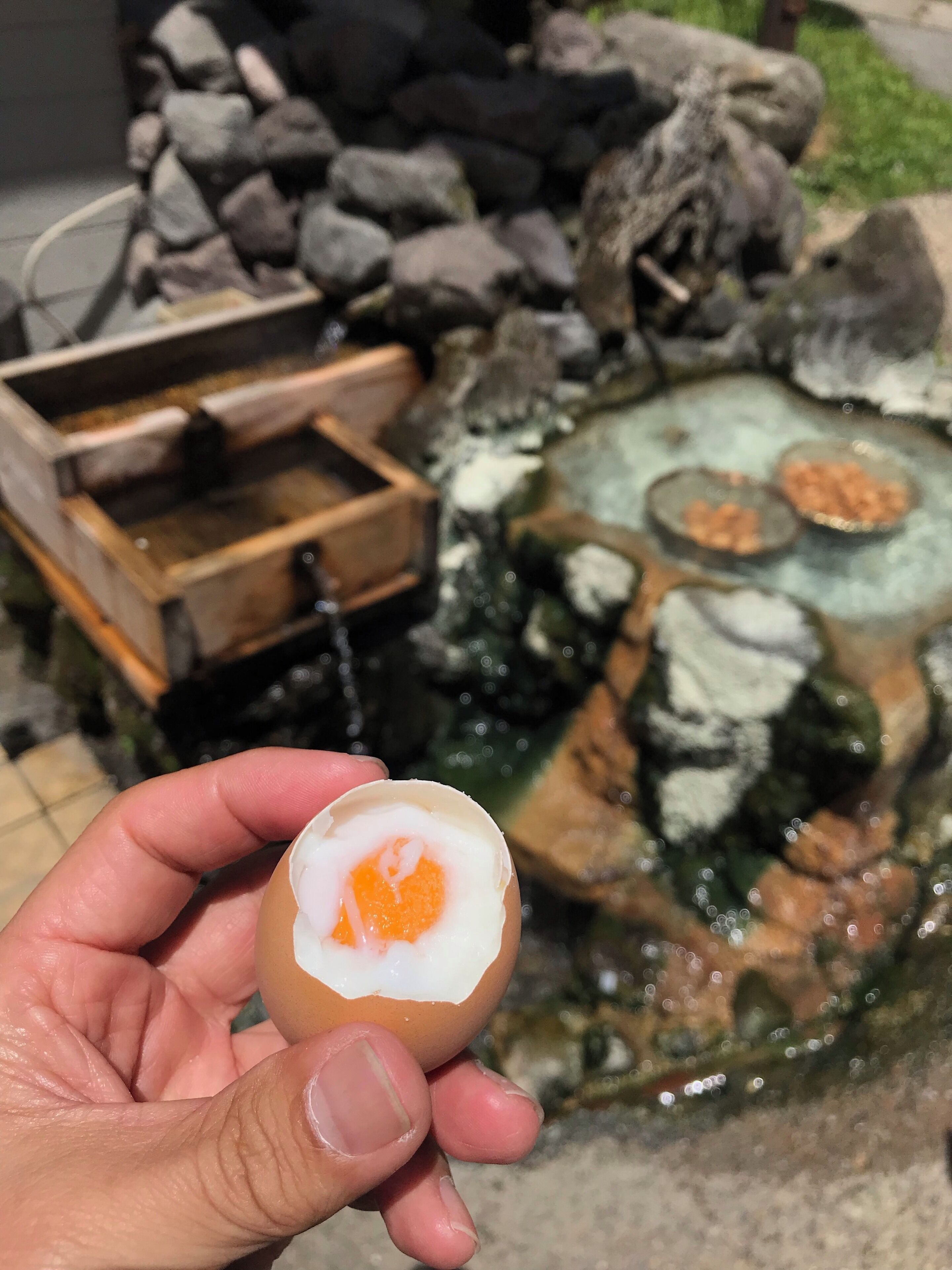 温泉はんたいたまご
黄身はかたくて白身が半熟